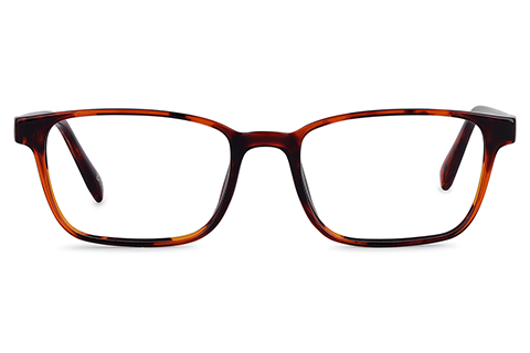 Feel Good Collection Spain 53 Tortoise