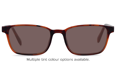 Feel Good Collection Spain 53 Tortoise