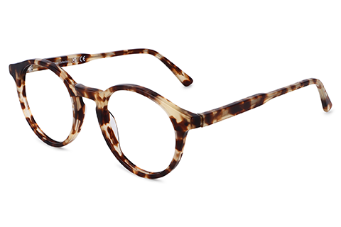 Feel Good Collection Sunday Tortoise 49
