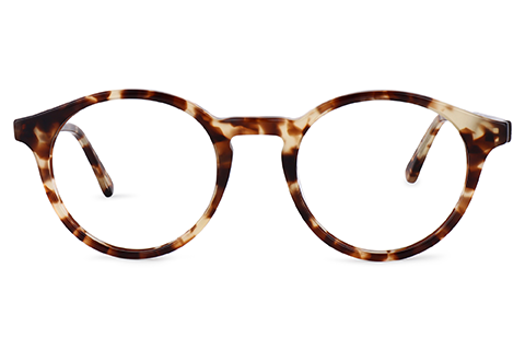 Feel Good Collection Sunday Tortoise 49