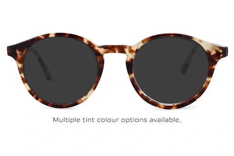 Feel Good Collection Sunday Tortoise 49