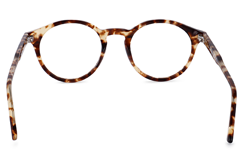 Feel Good Collection Sunday Tortoise 49
