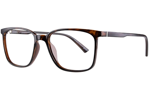 Feel Good Collection Tate 51 Shiny Tortoise