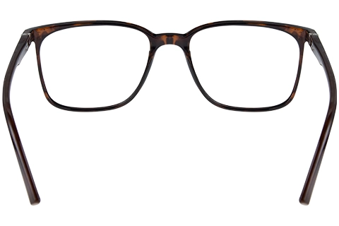 Feel Good Collection Tate 51 Shiny Tortoise