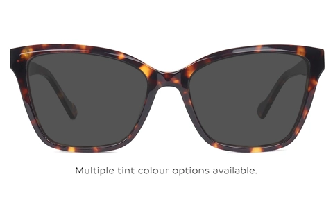 Winde 45 Tortoise 54