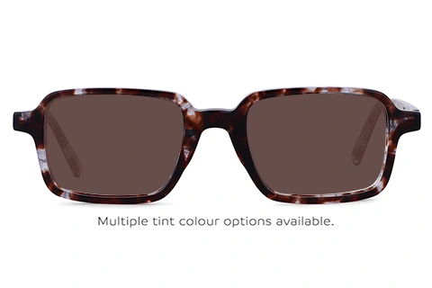 Feel Good Collection Wood Tortoise 49
