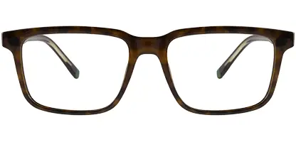 Lacoste L2946 219 55 Havana Brown