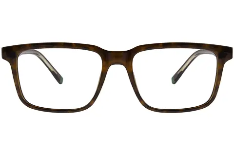 Lacoste L2946 219 55 Havana Brown