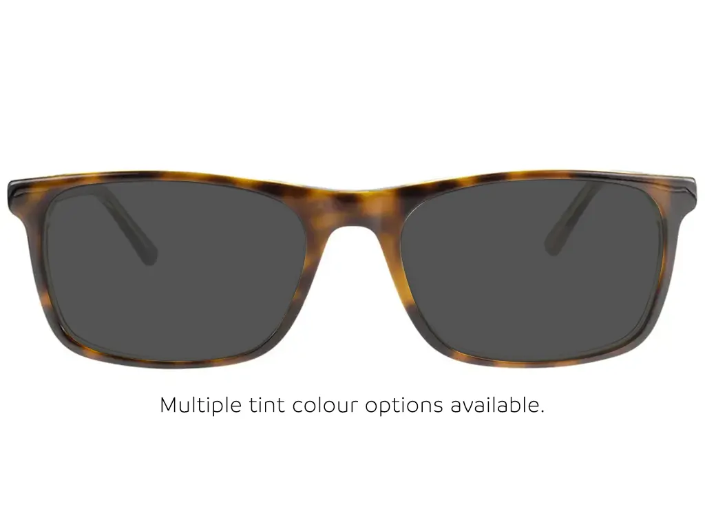 Calvin Klein CK20503 250 55 Soft Tortoise/Sage