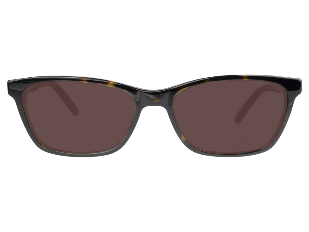 Calvin Klein CK20530 235 53 Dark Tortoise