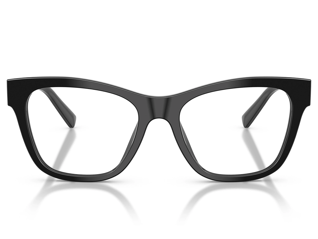 Dolce & Gabbana 0DG3430 501 Black 55