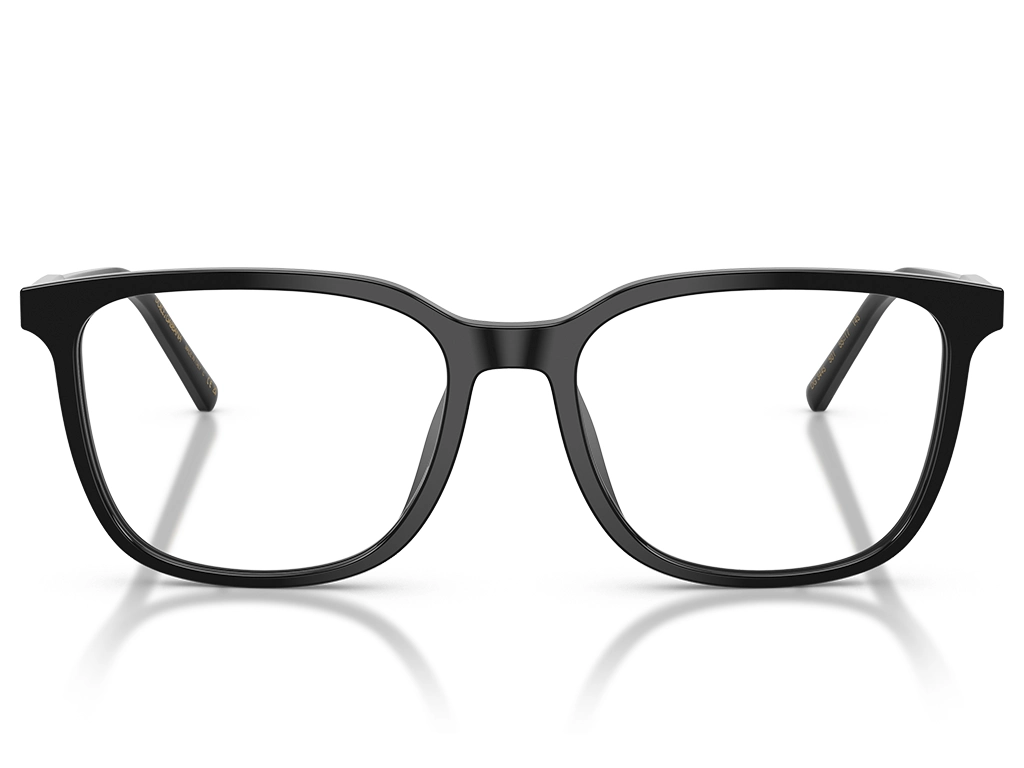 Dolce & Gabbana 0DG3445 501 Black 55