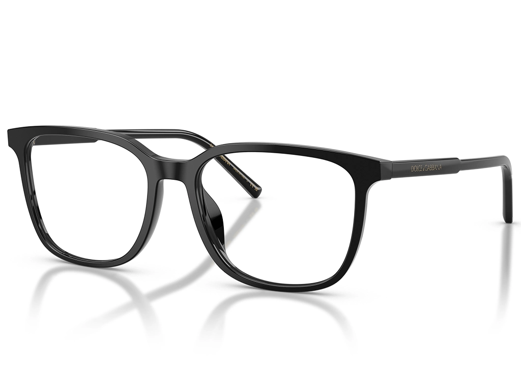 Dolce & Gabbana 0DG3445 501 Black 55