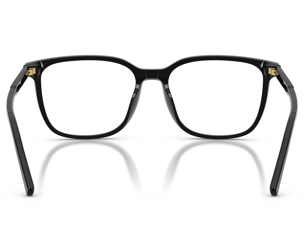 Dolce & Gabbana 0DG3445 501 Black 55