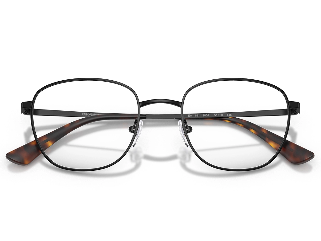Emporio Armani 0EA1191 3001 Matte Black 53