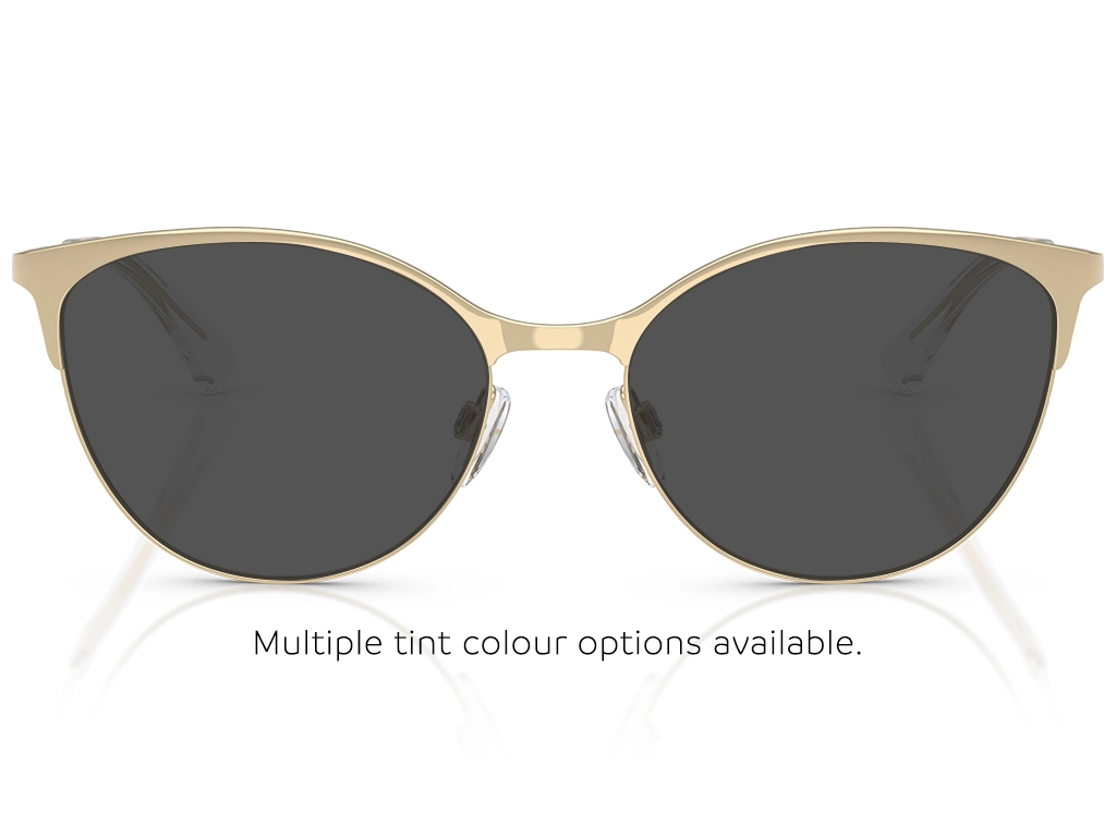 Emporio Armani EA1087 3013 Pale Gold 54