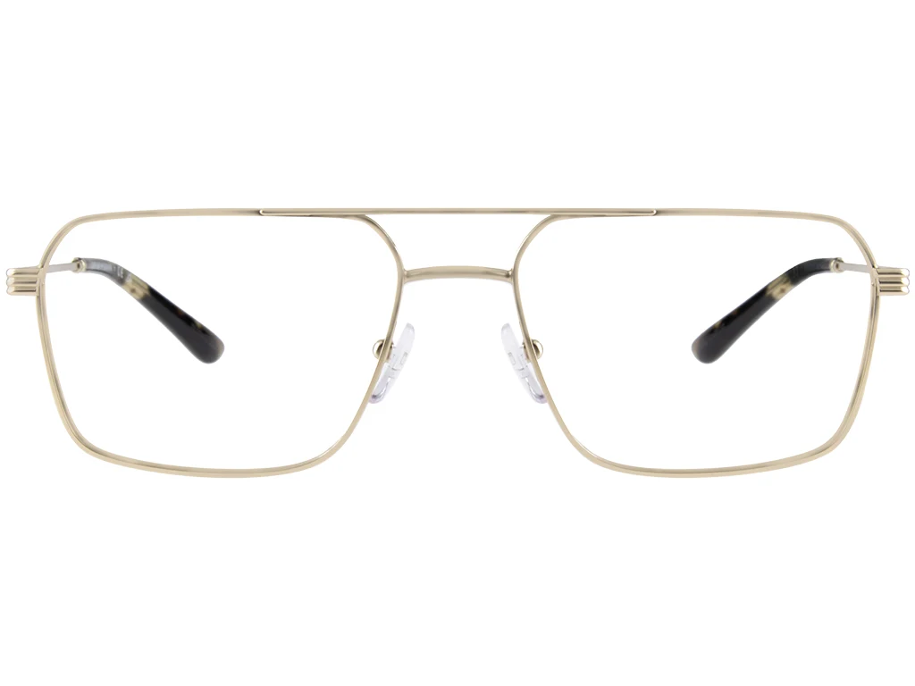 Emporio Armani EA1166 3002 57 Matte Pale Gold