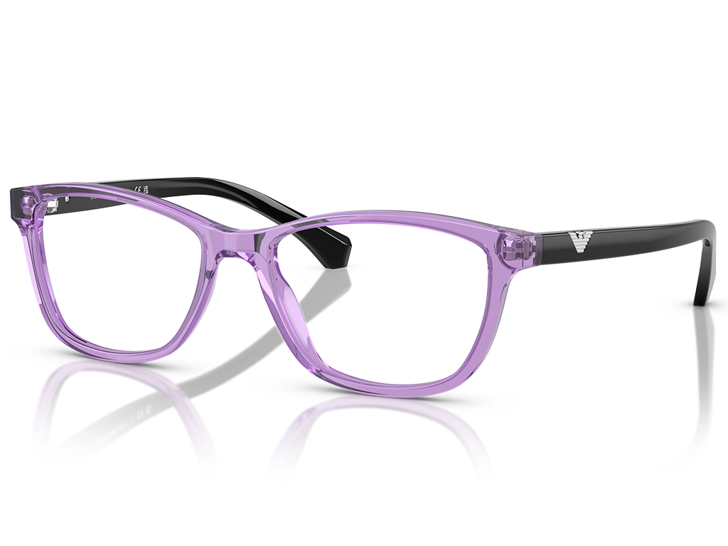 Emporio Armani EA3099 6197 Transparent Violet 54