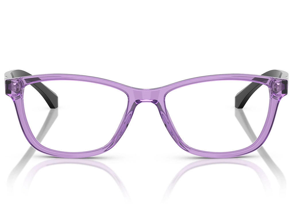 Emporio Armani EA3099 6197 Transparent Violet 54
