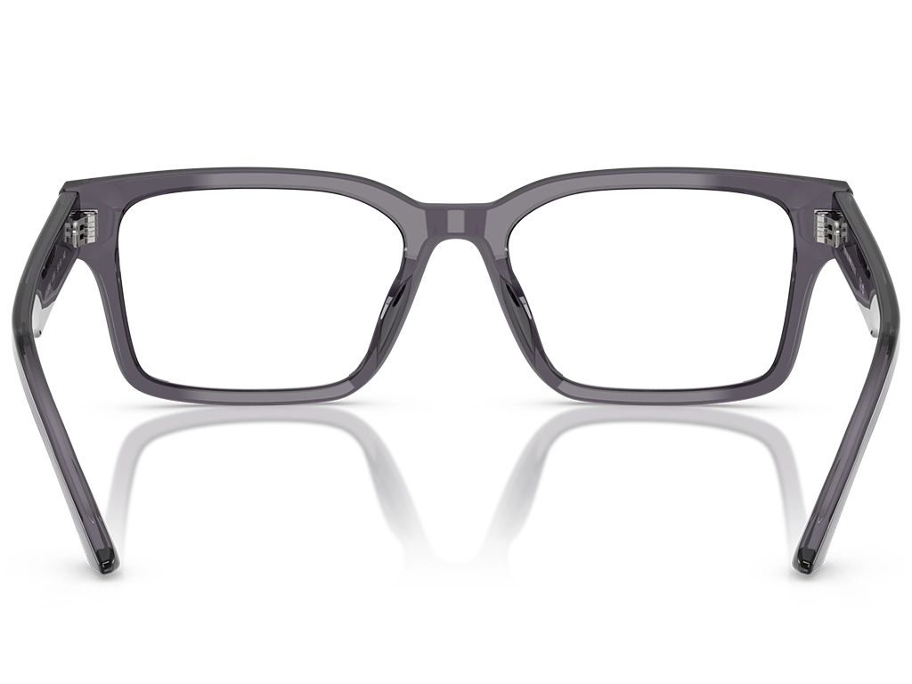 Emporio Armani EA3245U 6106 Transparent Grey 54