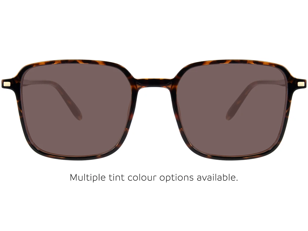 Feel Good Collection Briar 49 Shiny Tortoise