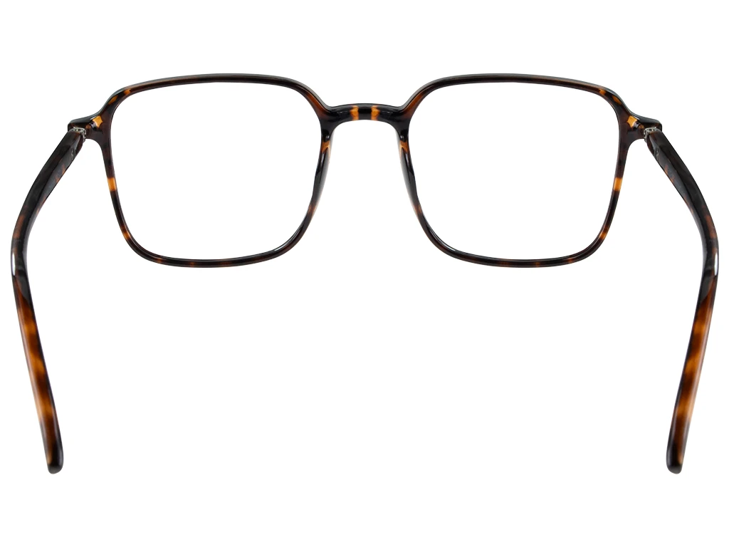 Feel Good Collection Briar 49 Shiny Tortoise