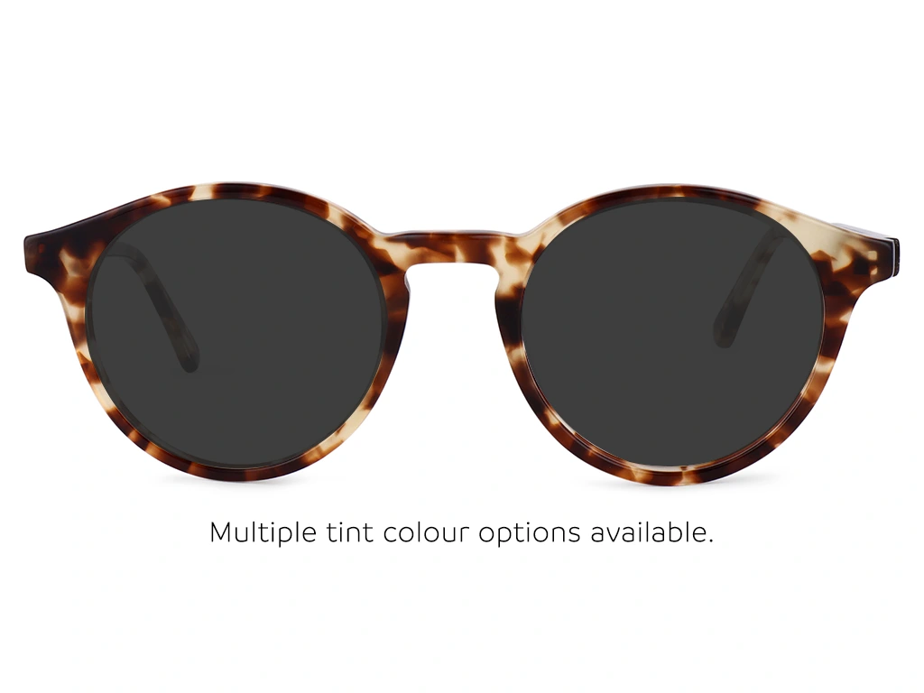 Feel Good Collection Sunday Tortoise 49