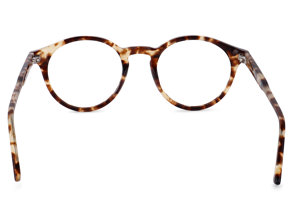 Feel Good Collection Sunday Tortoise 49