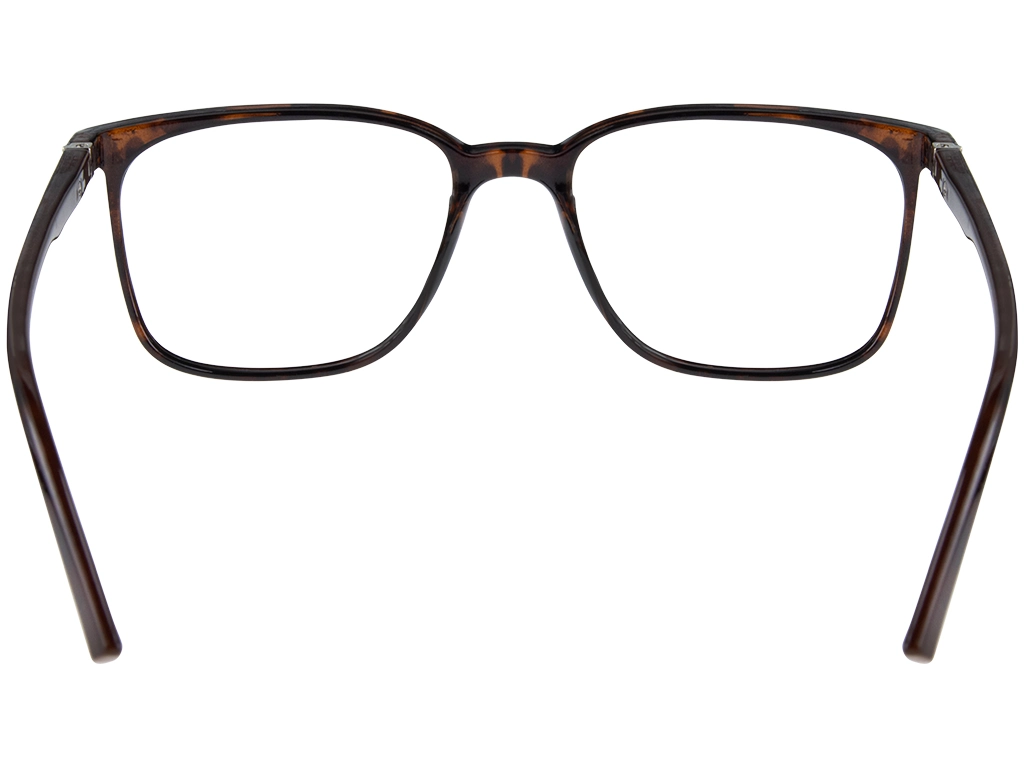 Feel Good Collection Tate 51 Shiny Tortoise