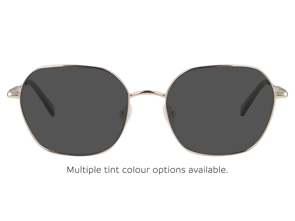 Longchamp LO2152 714 Gold 53