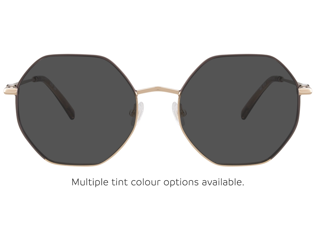 Longchamp LO2166 727 Gold/Brown 54