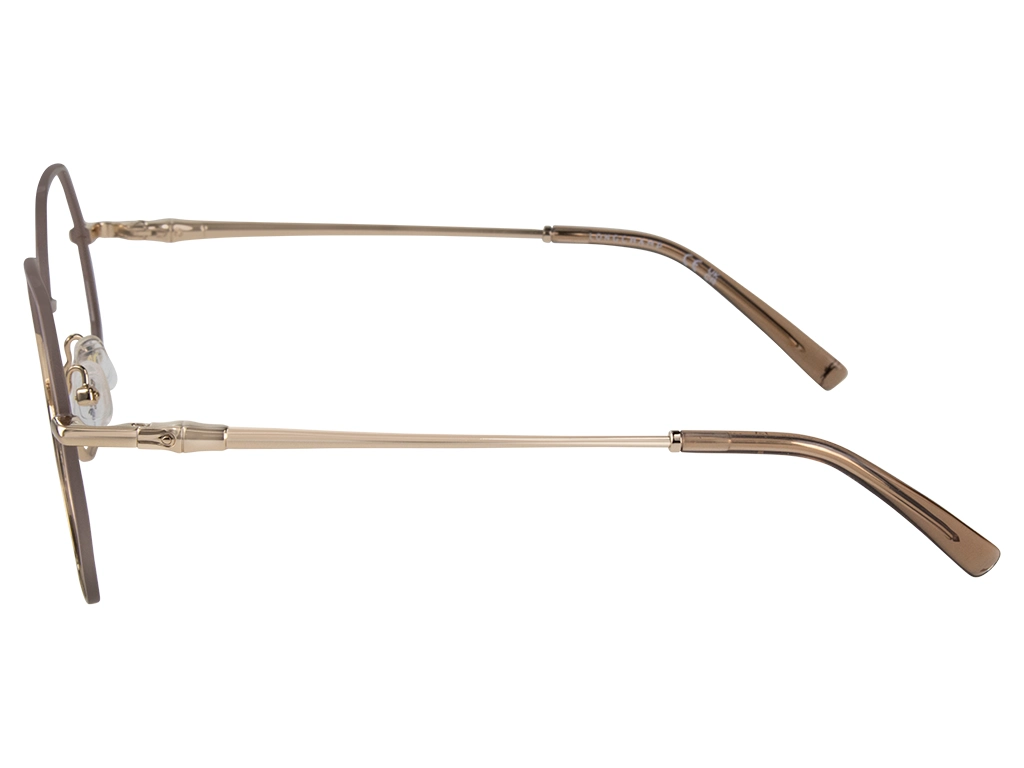 Longchamp LO2166 727 Gold/Brown 54