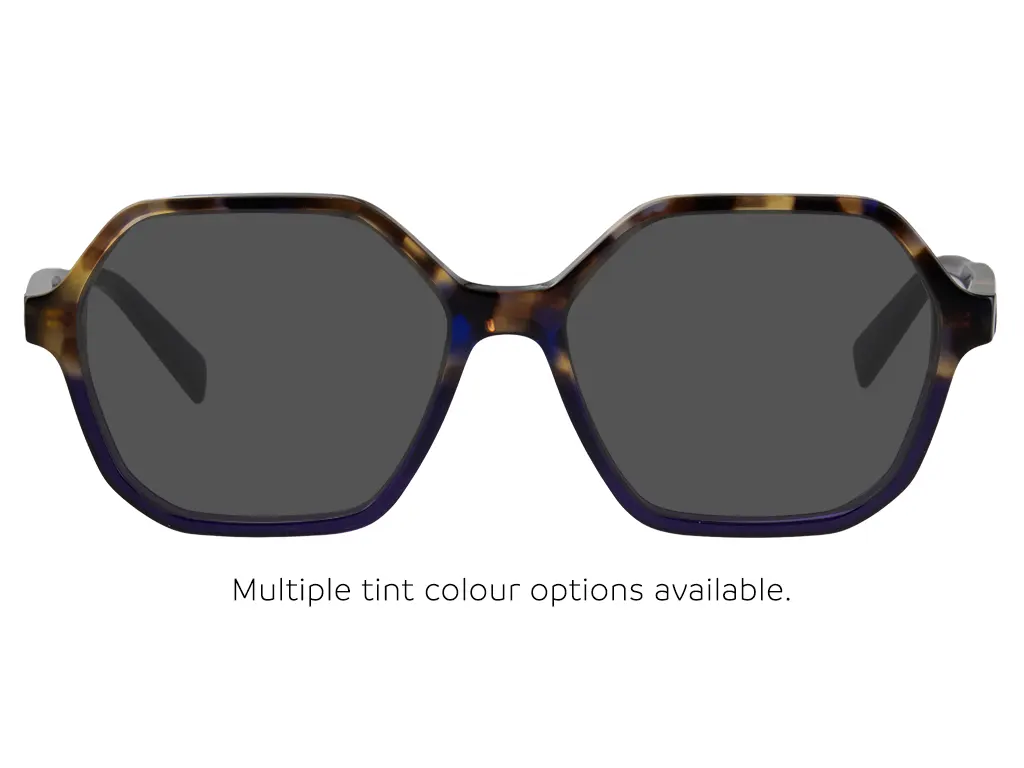 Longchamp LO2740 505 Purple/Havana 53