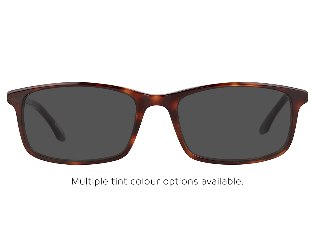 O’Neill ONO 4522 102 Tortoise 53