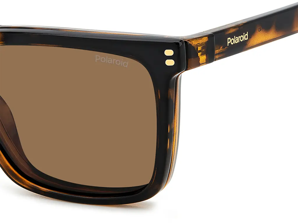 Polaroid PLD D556/C 086 Havana 54 Polarised