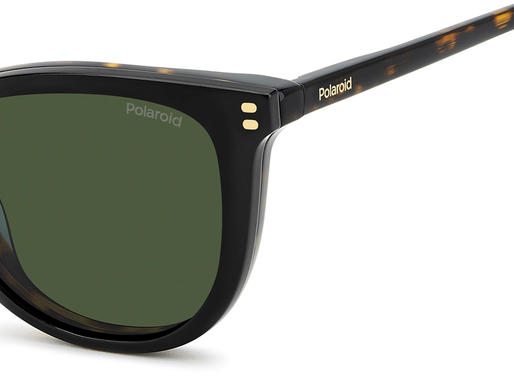 Polaroid PLD D605/C 086 Havana 54 Polarised