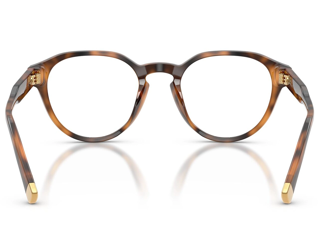 Polo Ralph Lauren 0PH2304U 6089 Havana 50