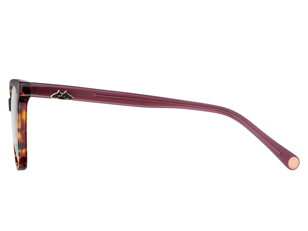 Radley RDO 6026 161 Tortoise 53