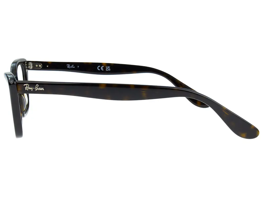 Ray-Ban Lady Burbank RX5499 2012 51 Havana | Feel Good Contacts UK