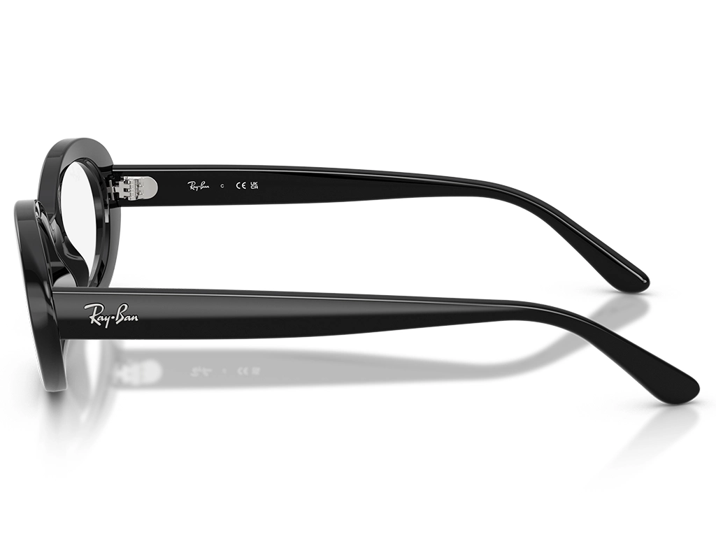 Ray-Ban 0RX2223V 2000 Black 52