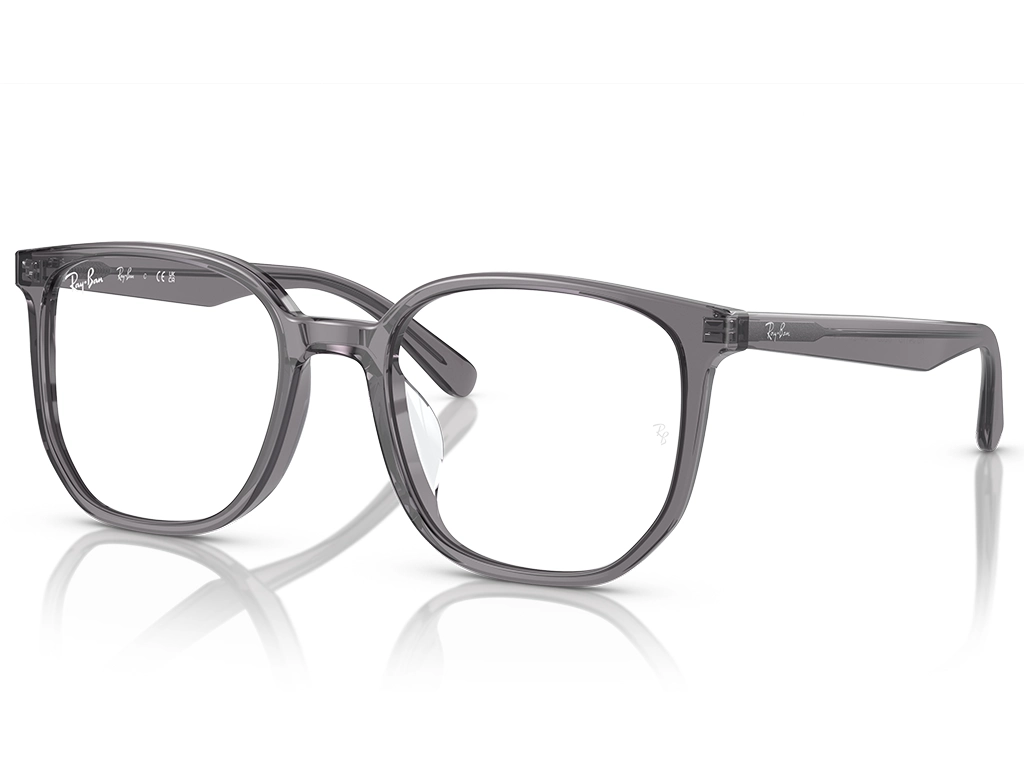Ray-Ban 0RX5411D 8268 Transparent Grey 54