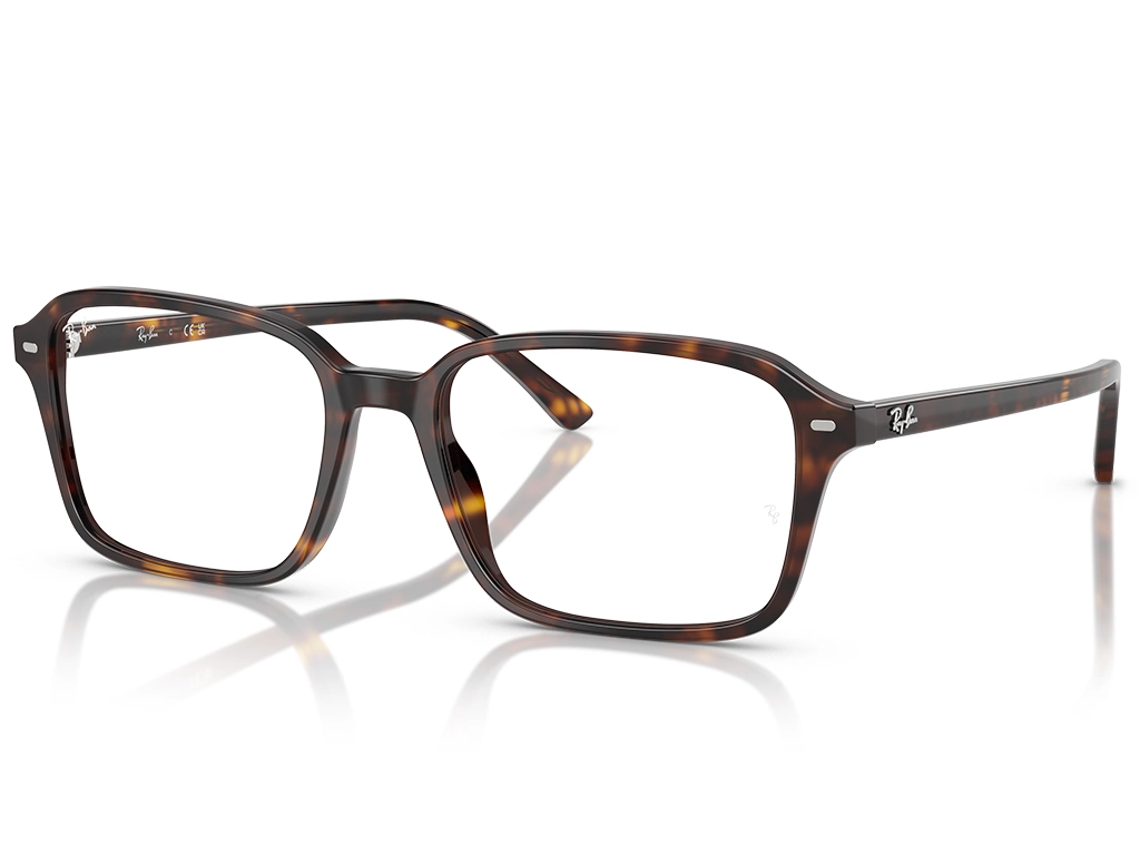 Ray-Ban 0RX5431 2012 Havana 54