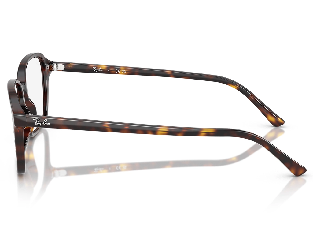 Ray-Ban 0RX5431 2012 Havana 54