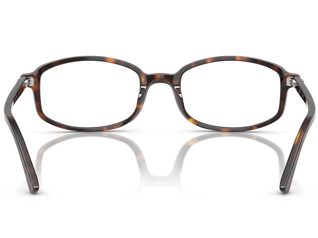 Ray-Ban 0RX5432 2012 Havana 52