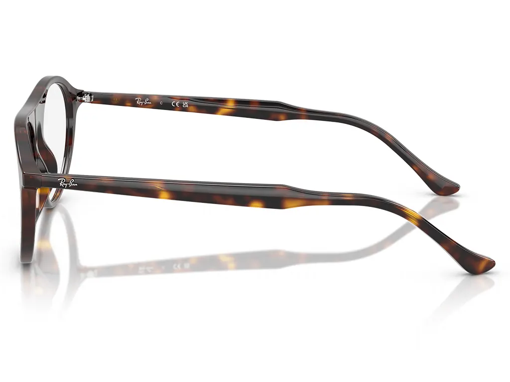 Ray-Ban 0RX5441 2012 Havana 51