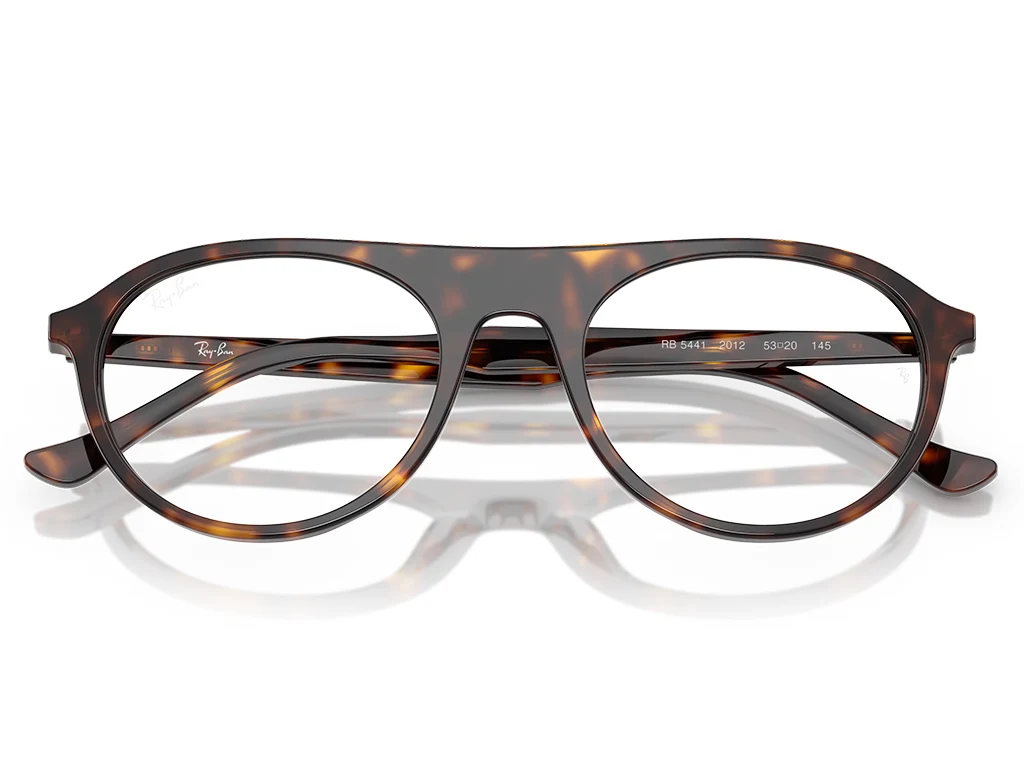 Ray-Ban 0RX5441 2012 Havana 53