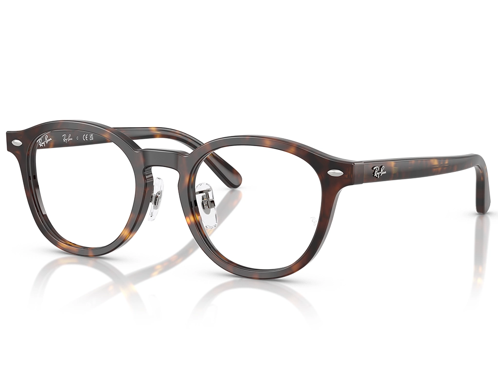 Ray-Ban 0RX5443D 2012 Havana 49