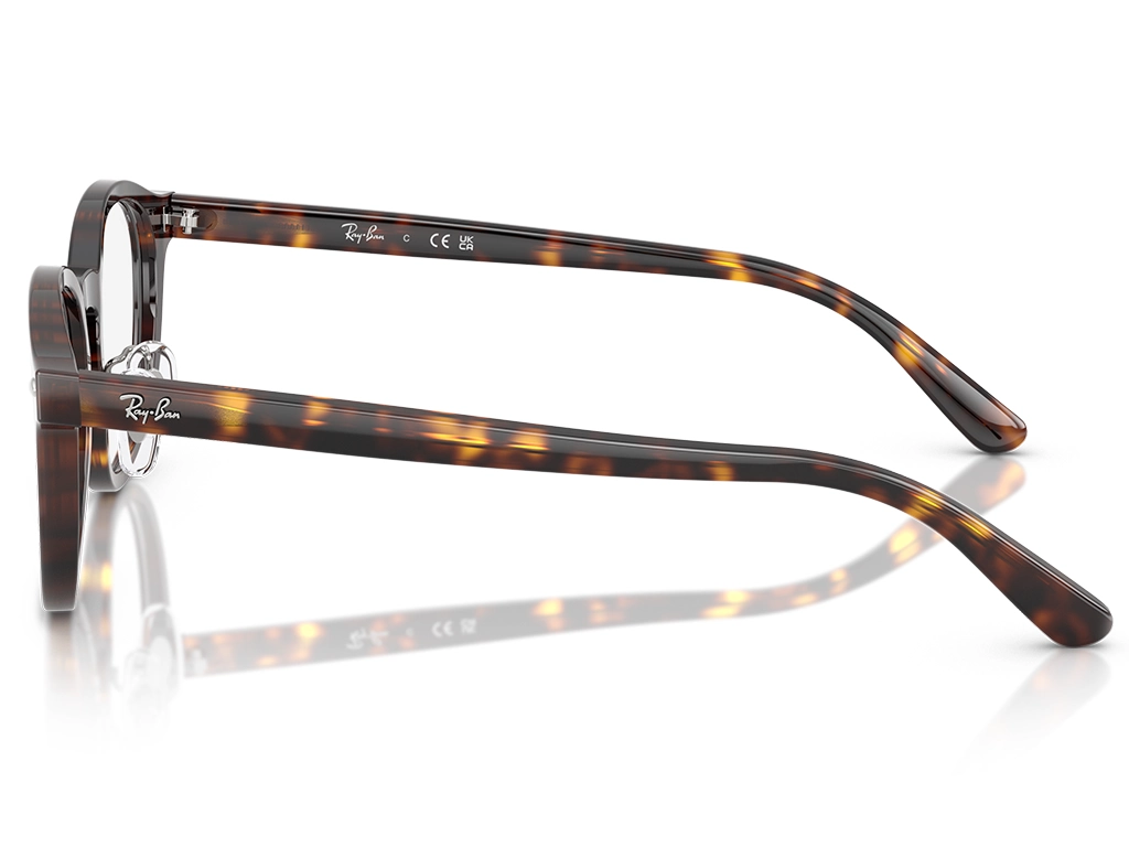 Ray-Ban 0RX5443D 2012 Havana 49