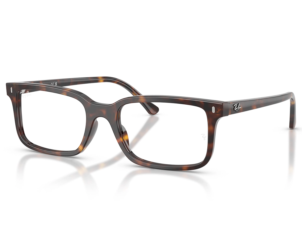 Ray-Ban 0RX5445 2012 Havana 52