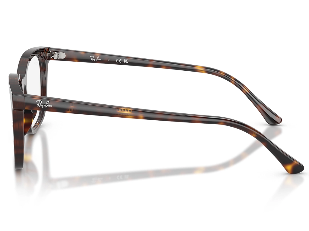 Ray-Ban 0RX5446 2012 Havana 53